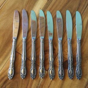 ✔️ Echo Cardiff Stainless Steel Flatware Table Knives Set of 8